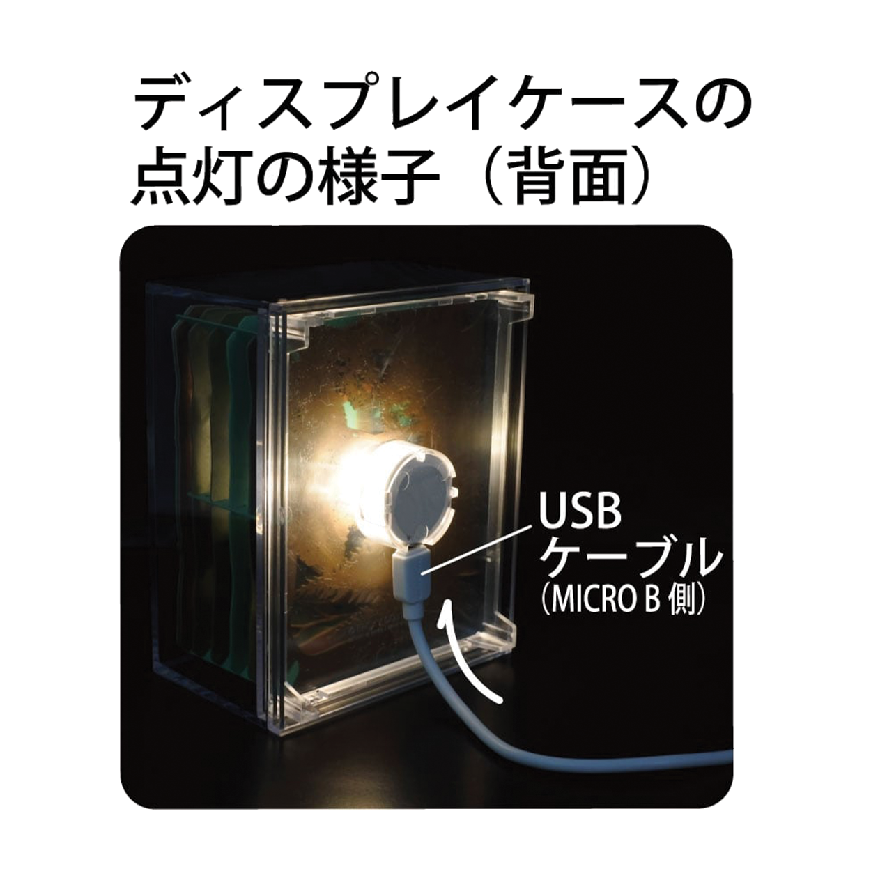 Accessories | Paper Theater | Display Light (USB) Non-Coloured LED